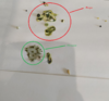 photo5271756491516391974.png