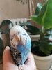 IMG_20210526_162902.jpg
