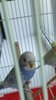 IMG_20210715_112745_1.jpg