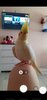 Screenshot_20210719-113305_Camera.jpg
