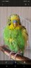 Screenshot_20210801-120335_Gallery.jpg
