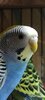 IMG_20210810_142600.jpg