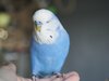 _5190044.jpg