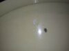 IMG_20210825_204026.jpg