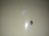 IMG_20210825_204013.jpg