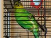 IMG_3399.jpg