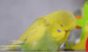_DSF3167.jpg