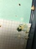 82C249B8-D181-472F-8AD2-9D551B813D9A.jpeg