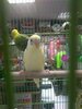 изображение_viber_2021-09-08_16-06-08-762.jpg