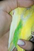 Screenshot_20210928-125925_Gallery.jpg