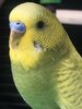 B76AF69E-1CBD-45B0-AA19-162896403279.jpeg