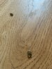 ED36940E-9D6A-4B3B-B52D-D317C8A07B26.jpeg