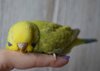 DSC_3407.JPG