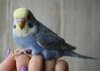 DSC_3482.JPG