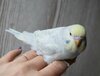 DSC_3508.JPG