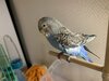 IMG_9734.JPG
