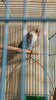 IMG-20211219-WA0011.jpeg