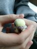 IMG_20220106_134538.jpg