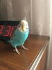 739DFD90-B8E9-468C-8E1F-D7D749057BA6.jpeg