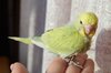 DSC_3929.JPG