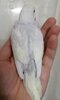 IMG_20220109_203246.jpg