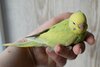 DSC_4081.JPG