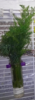 upload_2022-1-14_17-21-57.png