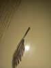 20220120_215734.jpg