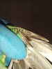 20220125_193118.jpg