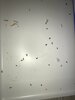 857BCB4C-D117-45F4-A4E2-BE20D593D7FC.jpeg