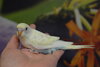 CSC_0473.JPG