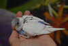 CSC_0644.JPG