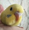 IMG_20220311_120903.jpg