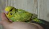 DSC_4488.JPG