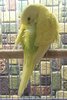 IMG_20220317_132211.jpg