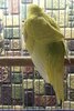 IMG_20220317_132254.jpg