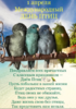 0791A3FE-F920-406D-95BC-73F2D14AA886.png