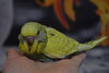 CSC_0550.JPG
