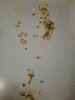 20220528_210821.jpg