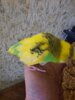 20220528_185439.jpg