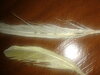 20181123_234048.jpg