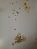 20220531_213547.jpg
