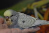 CSC_0136.JPG