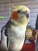 31DEEFE2-4019-4308-BBBC-D17EAAA5581D.jpeg
