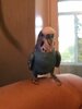 Q2w6_OMLRfxaSlOKoy-HlXJrjsWIrTmGTaqcsGddwxBEYeF87T7nvTtckPx3LKuAy7jZyA4_nNBtovUlxZWL8kVR.jpg