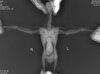 1DX001675_1.jpg