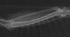 2022-07-29_13-04-19.png