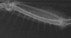 2022-07-29_13-03-55.png