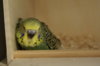 DSC03988.JPG