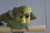 DSC03994.JPG